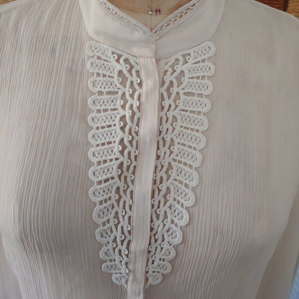 Gorgeous T Tahari Sheer Blouse - Picture 3 of 8